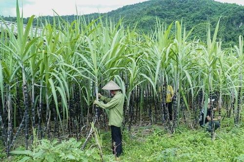 Phòng vệ thương mại - công cụ bảo vệ cạnh tranh công bằng