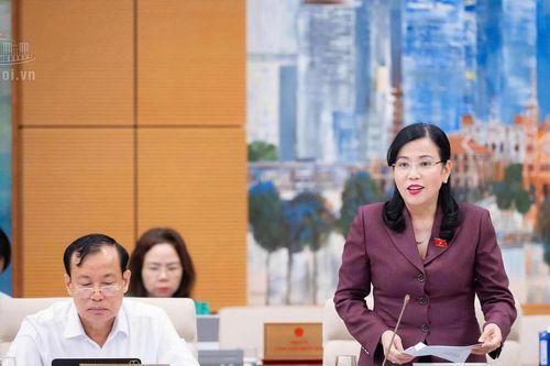 Bà Nguyễn Thanh Hải: Cần bảo đảm đủ sách giáo khoa cho học sinh