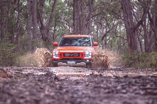 Lý do BYD triệu hồi toàn bộ bán tải Shark 6 đã bán ở Australia