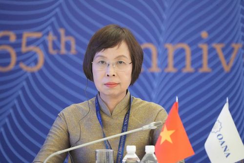 Thông tấn xã Việt Nam tham dự Phiên toàn thể kỷ niệm 65 năm OANA