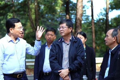 Chủ tịch Ủy ban nhân dân tỉnh Lâm Đồng yêu cầu công bố tình huống khẩn cấp về thiên tai tại đèo Prenn