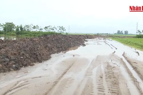 [Video] Mưa lớn gây gián đoạn thi công một số công trình trọng điểm tại Hưng Yên