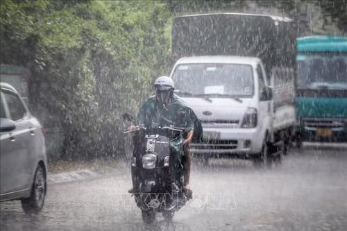 Chủ động ứng phó mưa lũ, bảo đảm an toàn cho người dân