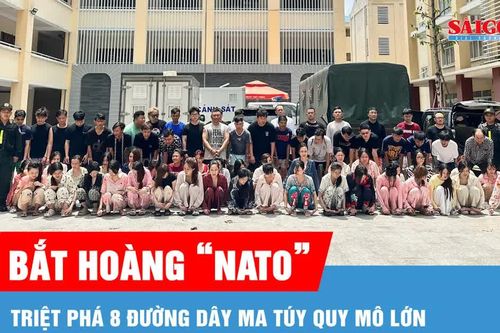Bắt Hoàng 'Nato', triệt phá 8 đường dây ma túy quy mô lớn