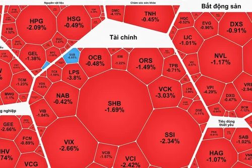 Khối ngoại mua ròng, VN-Index giảm mạnh trong phiên đầu tiên nâng hạng