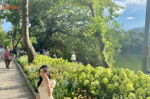 [GALLERY] Giới trẻ đổ về hồ Gươm bắt trọn khoảnh khắc thu bên dải cẩm tú cầu