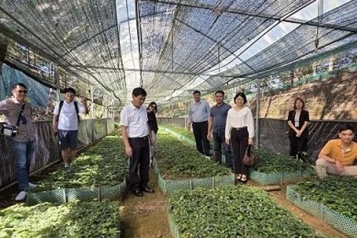 Thúc đẩy hợp tác Việt Nam - Hàn Quốc từ tiềm năng bản địa