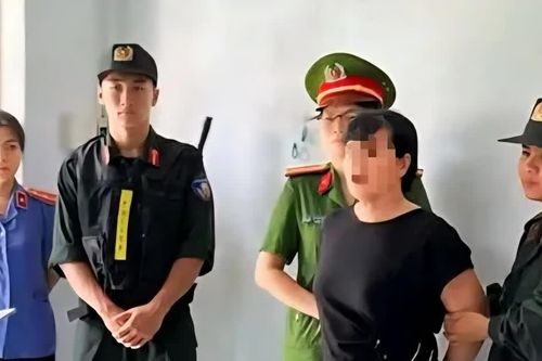 Trút giận lên Facebook sau phiên tòa dân sự, người phụ nữ 58 tuổi bị bắt giam