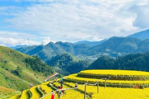 Lào Cai đón hơn 9,8 triệu lượt khách du lịch trong 9 tháng năm 2026