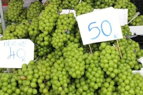 Giật mình giá nho 'quý tộc'
