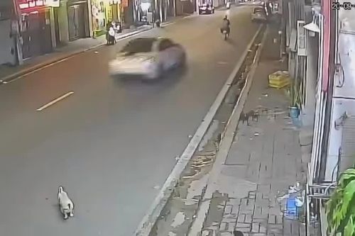 Truy tìm ô tô húc văng hai người đi xe máy ở TPHCM