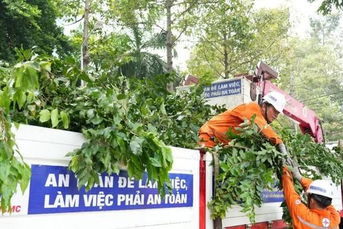 EVNHCMC chủ động các giải pháp đảm bảo an toàn điện vùng ven biển mùa mưa bão