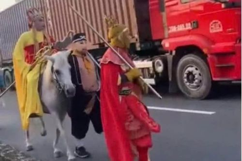 Sự thật phía sau nhóm người hóa trang Tây Du Ký cưỡi ngựa giữa đường ở TPHCM