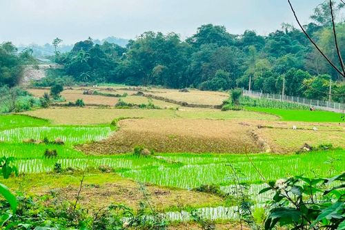 Chuyển sang đất ở: Được giảm tiền sử dụng đất, có thể tính lại khoản đã nộp