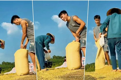 Bùi Tiến Dũng: Tối qua 'gánh team', chiều nay gánh lúa cùng bố mẹ