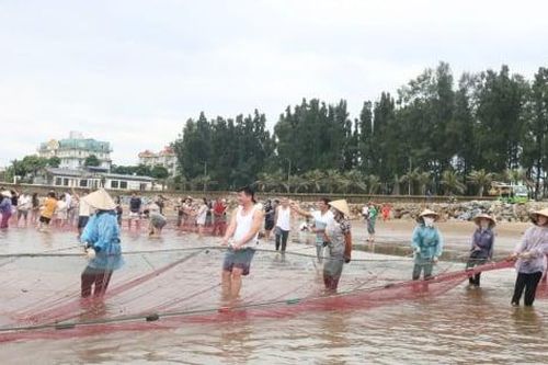 Hải Tiến 'lạ hóa' du lịch bằng nghề kéo rùng truyền thống