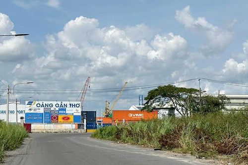 Đấu giá hơn 13,3ha đất làm khu logistics Cái Cui, giá khởi điểm gần 144 tỉ đồng