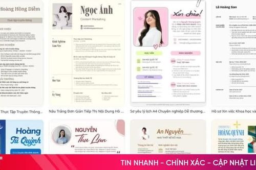 Hồ sơ xin việc online: CV, bằng cấp và chứng chỉ trong một file