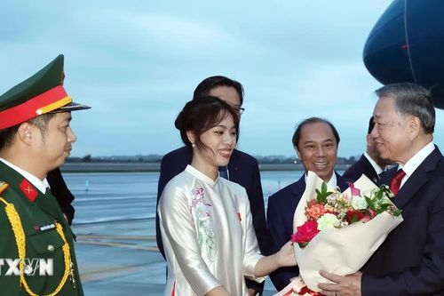 Tổng Bí thư, Chủ tịch nước Tô Lâm đến New York tham dự Phiên thảo luận cấp cao Đại hội đồng Liên hợp quốc khóa 81