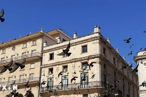 Quảng trường Chim bồ câu - điểm đến ưa thích ở thủ đô của Cuba