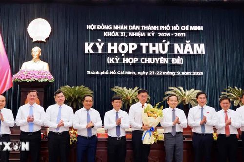 Ông Trương Minh Huy Vũ được bầu làm Phó Chủ tịch UBND Thành phố Hồ Chí Minh