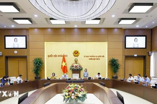 Ủy ban Thường vụ Quốc hội Quốc hội cho ý kiến về một số dự án Luật