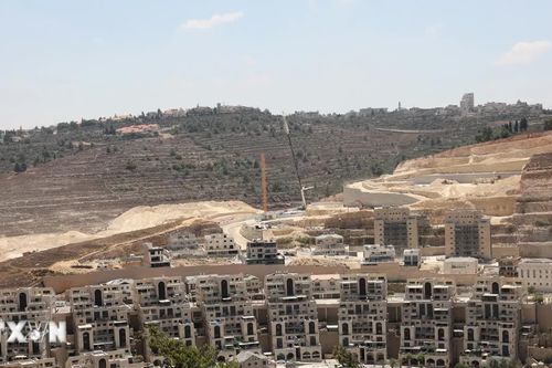 Đa số người dân Israel và Palestine không tin vào khả năng chung sống hòa bình