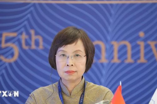 Thông tấn xã Việt Nam tham dự Phiên toàn thể kỷ niệm 65 năm OANA