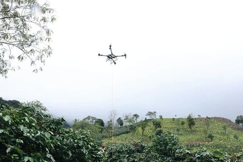 Điện Biên chính thức đưa UAV vào vận chuyển hàng hoá, nông sản