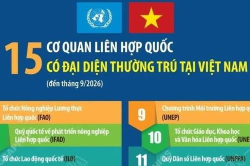 15 cơ quan Liên hợp quốc có đại diện thường trú tại Việt Nam