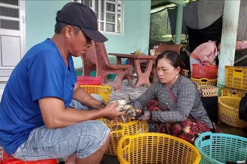 Phát triển bền vững ngành hàng cua vùng địa đầu cực Nam của tổ quốc
