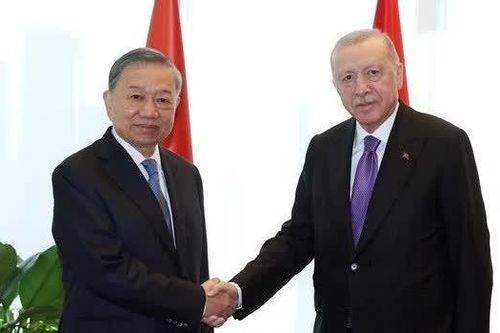 Tổng Bí thư, Chủ tịch nước Tô Lâm gặp Tổng thống Thổ Nhĩ Kỳ