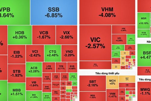 VN-Index mất mốc 1.800 điểm trong phiên đầu tiên sau khi được nâng hạng