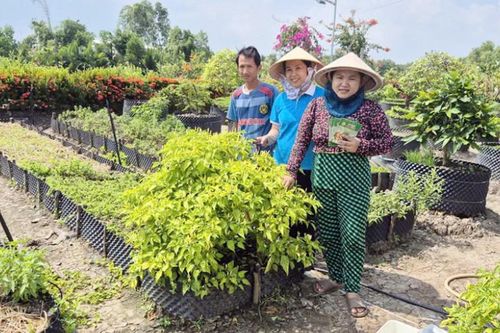 Cà Mau: Đa dạng hoạt động giúp phụ nữ khởi nghiệp, phát triển kinh tế