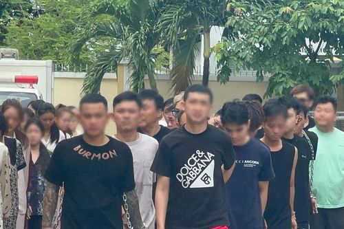 Bắt 'Hoàng Nato', triệt phá 8 đường dây ma túy, xử lý 126 đối tượng