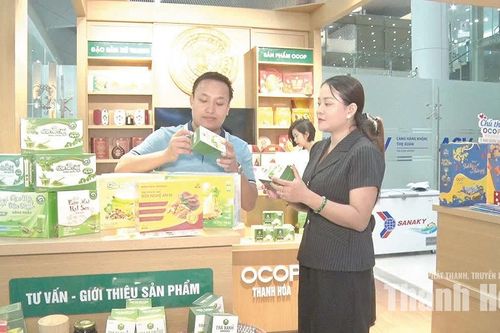 Đưa sản phẩm OCOP Thanh Hóa theo những chuyến bay