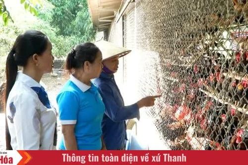Nguồn vốn chính sách tiếp sức phụ nữ miền núi làm kinh tế