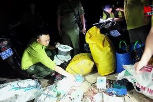 Gỡ lưới đêm bảo vệ chim hoang dã