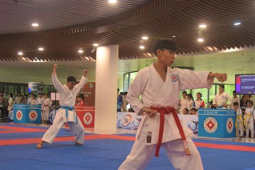 Khơi dậy đam mê karate