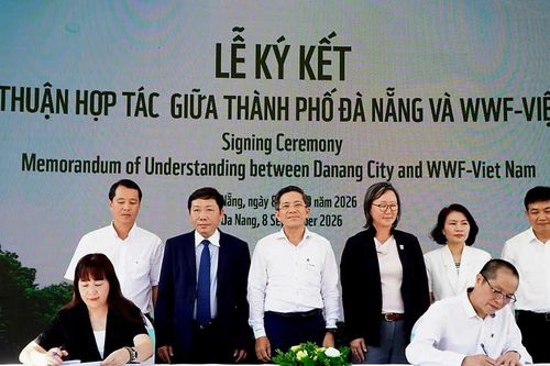 Hợp tác công - tư trong phục hồi và tái tạo tài nguyên nước