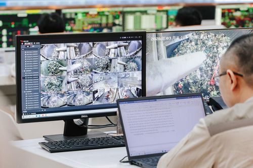 ĐÀ NẴNG VÀ BÀI TOÁN CHUYỂN HÓA RÁC THÀNH NĂNG LƯỢNG SẠCHBài 2: Điện rác và bài toán nghìn tỷ
