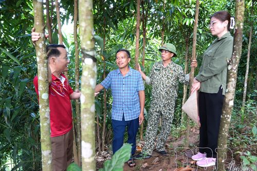 Đề án 79 - Kiến tạo cuộc sống mới nơi biên cương (bài 2)