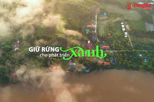 [Video] Giữ rừng cho phát triển xanh