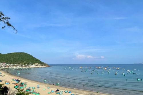 Chấp thuận chủ trương đầu tư dự án sinh thái, nghỉ dưỡng tại Phù Mỹ Đông