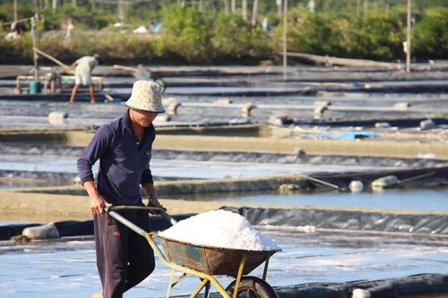 Gia Lai: Sản lượng muối tăng 17,3%