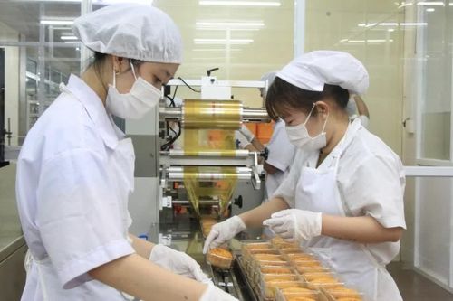 Thị trường bánh Trung thu tại Gia Lai: Đa dạng mẫu mã, giá bán