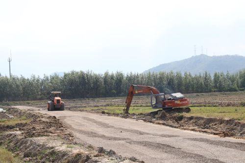 Đẩy nhanh giải phóng mặt bằng Dự án Đường giao thông liên vùng Diên Khánh đoạn qua xã Diên Diền