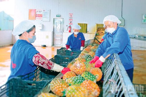 Doanh nghiệp tăng tốc sản xuất những tháng cuối năm