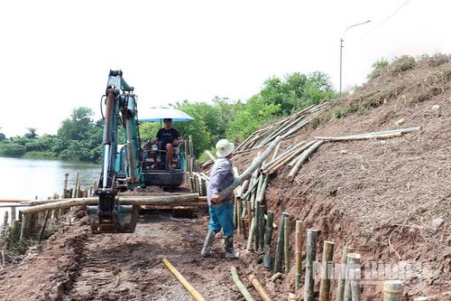 Khắc phục kịp thời sự cố sạt trượt đê tả sông Đáy tại phường Phù Vân