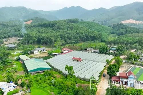 Cự Đồng phát triển kinh tế xanh, bền vững